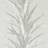 Yucca 216650